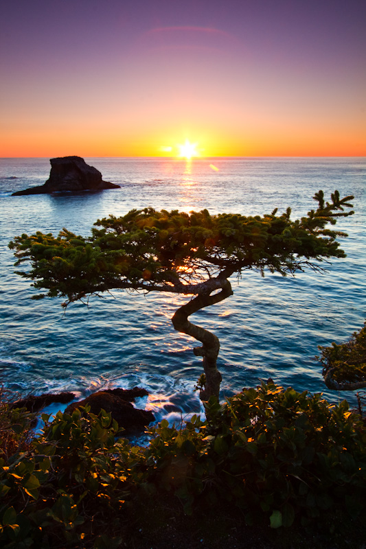 Cape Flattery At Sunset